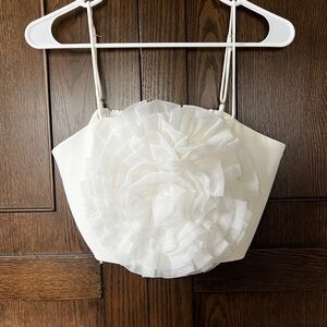 Endless rose crop top (S)